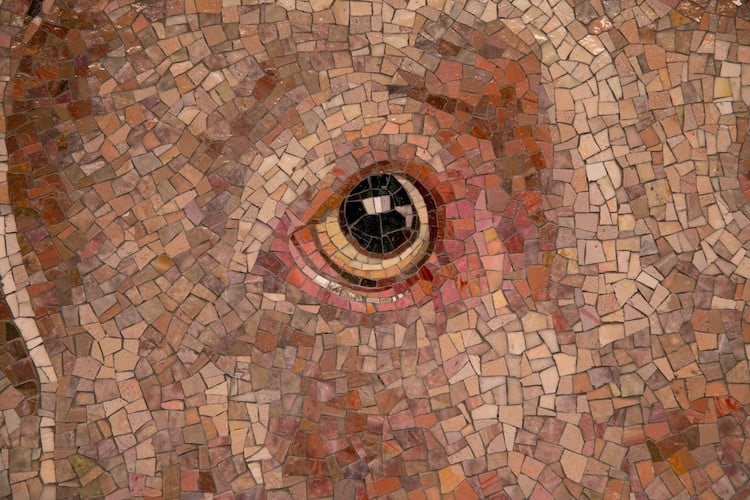 WilliamWegman 7 mosaicos Weimaraner intervencionesurbanas arteurbano MetroDeNuevaYork color