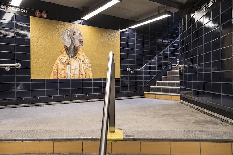 WilliamWegman 8 mosaicos Weimaraner intervencionesurbanas arteurbano MetroDeNuevaYork color