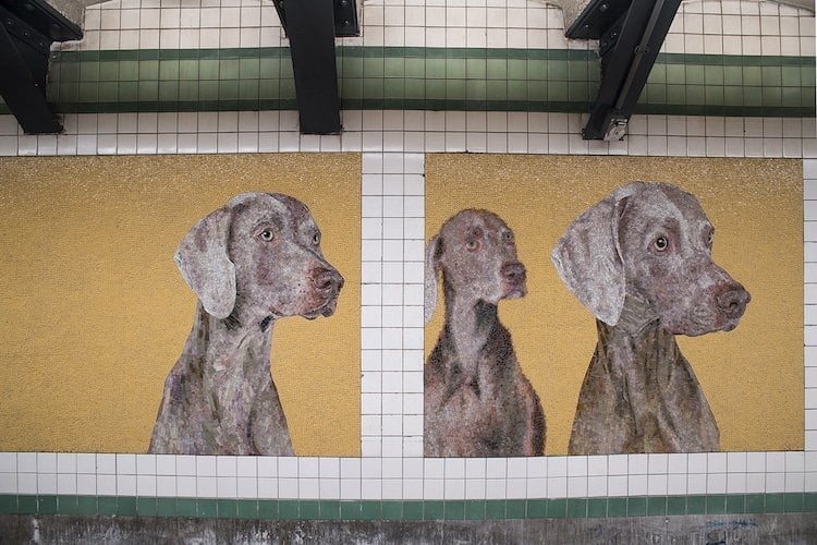 Una estación de Metro de Nueva York, rediseñada con coloridos mosaicos de perros