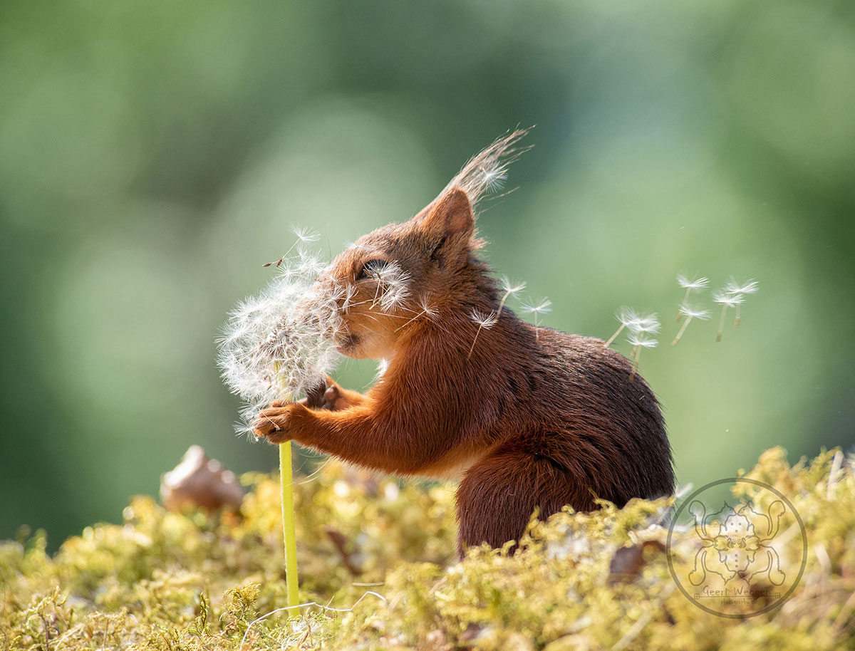 geert weggen cultura inquieta