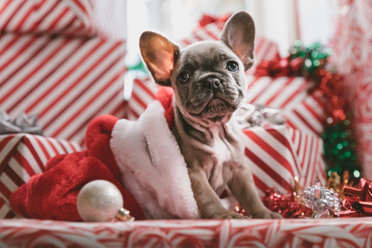 navidad60