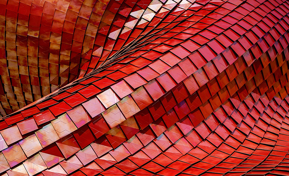 ricardo gomez angel 180819 unsplash