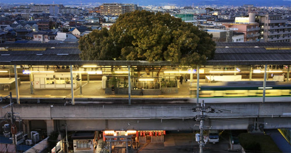 BigKusuTreeOfKayashima 1 TheKayashimaStation Osaka arquitectura naturaleza ecología estimulante