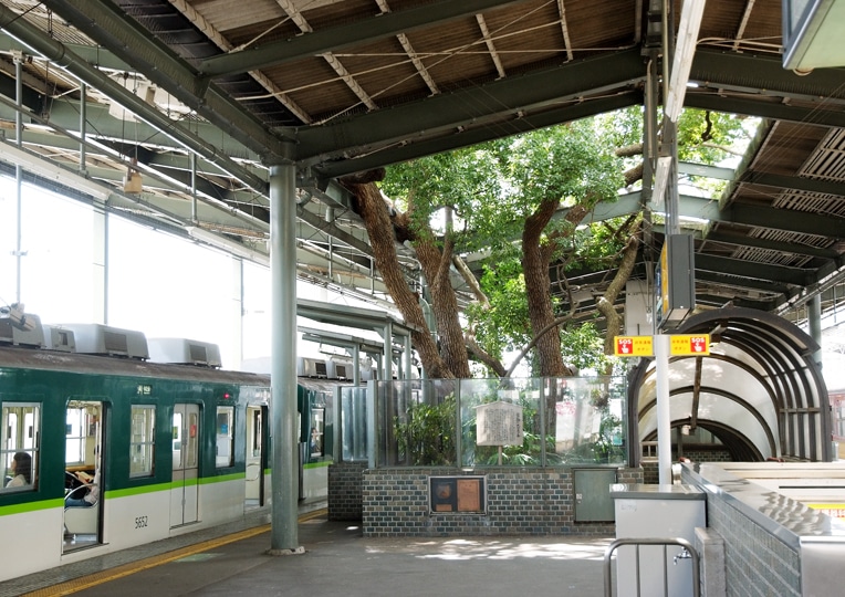 BigKusuTreeOfKayashima 5 TheKayashimaStation Osaka arquitectura naturaleza ecología estimulante