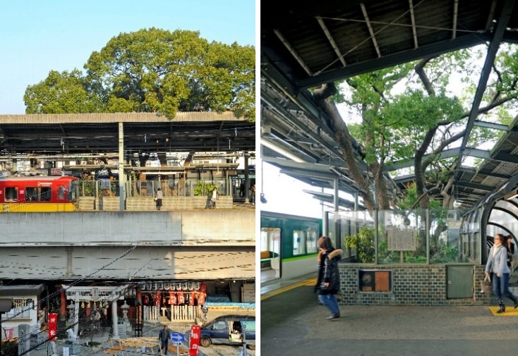 BigKusuTreeOfKayashima 6 TheKayashimaStation Osaka arquitectura naturaleza ecología estimulante
