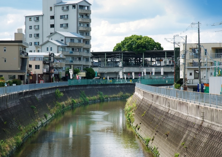 BigKusuTreeOfKayashima 7 TheKayashimaStation Osaka arquitectura naturaleza ecología estimulante