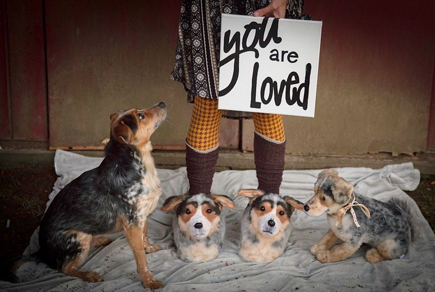 CuddleClones 10 JenniferWilliams AdamGreene mascota diseño moda curiosidad humor