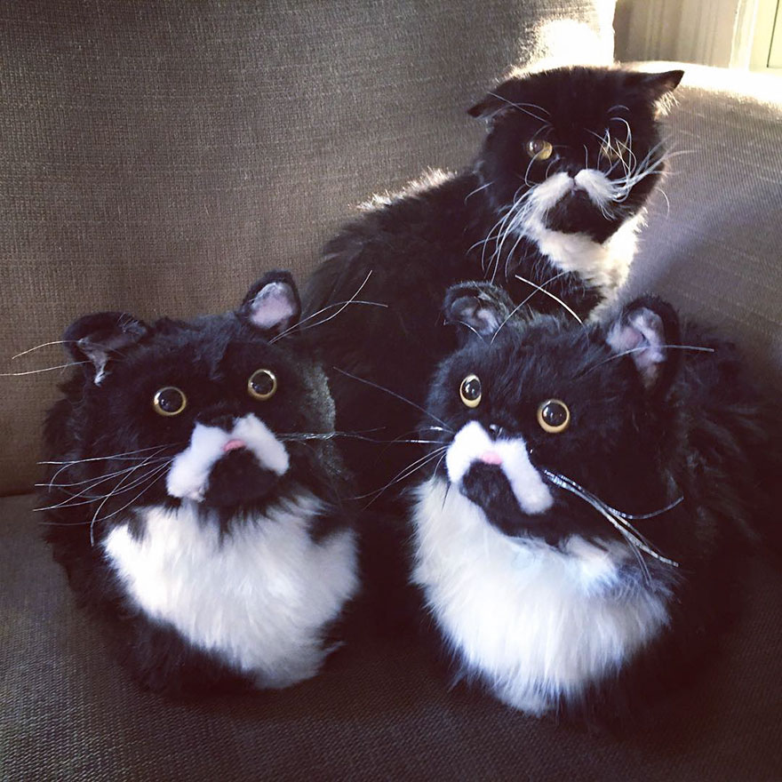 CuddleClones 7 JenniferWilliams AdamGreene mascota diseño moda curiosidad humor