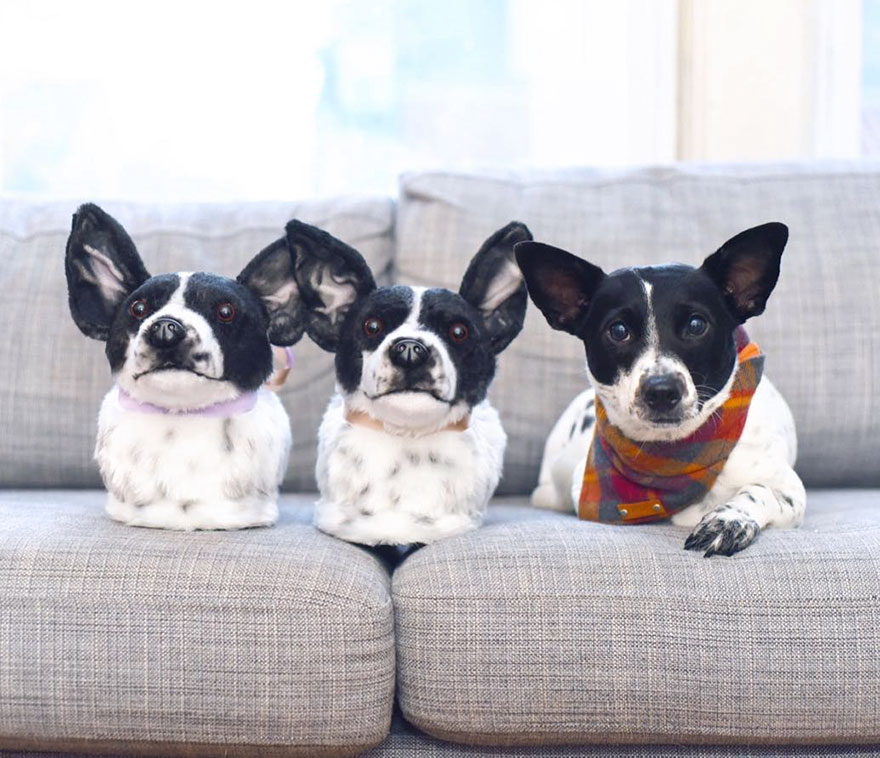 CuddleClones 9 JenniferWilliams AdamGreene mascota diseño moda curiosidad humor