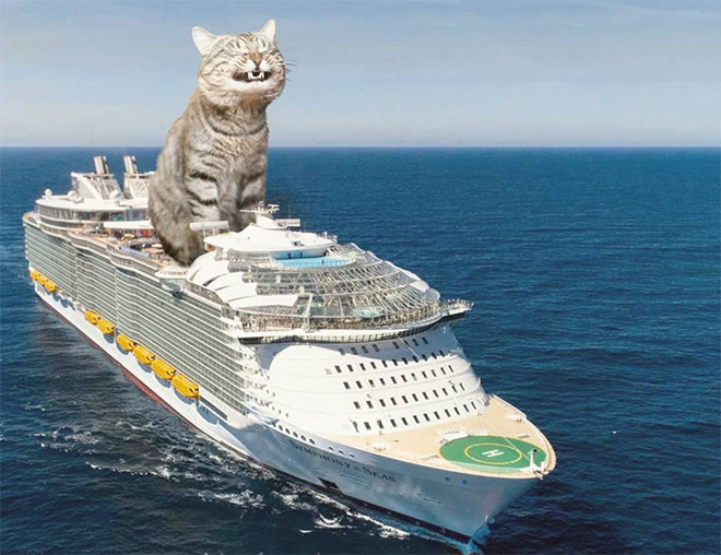 FransditaMuafidin 14 gatos MontajeFotografico photoshop humor curiosidad instagram catzilla