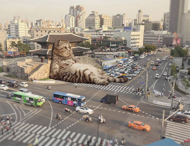 FransditaMuafidin 1 gatos MontajeFotografico photoshop humor curiosidad instagram catzilla