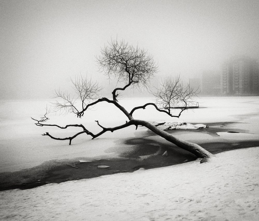 HakandStrand 10 fotografia invierno paisaje belleza PoesiaVisual estimulante StillMoments BlancoYNegro