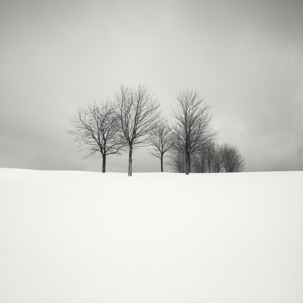 HakandStrand 11 fotografia invierno paisaje belleza PoesiaVisual estimulante StillMoments BlancoYNegro