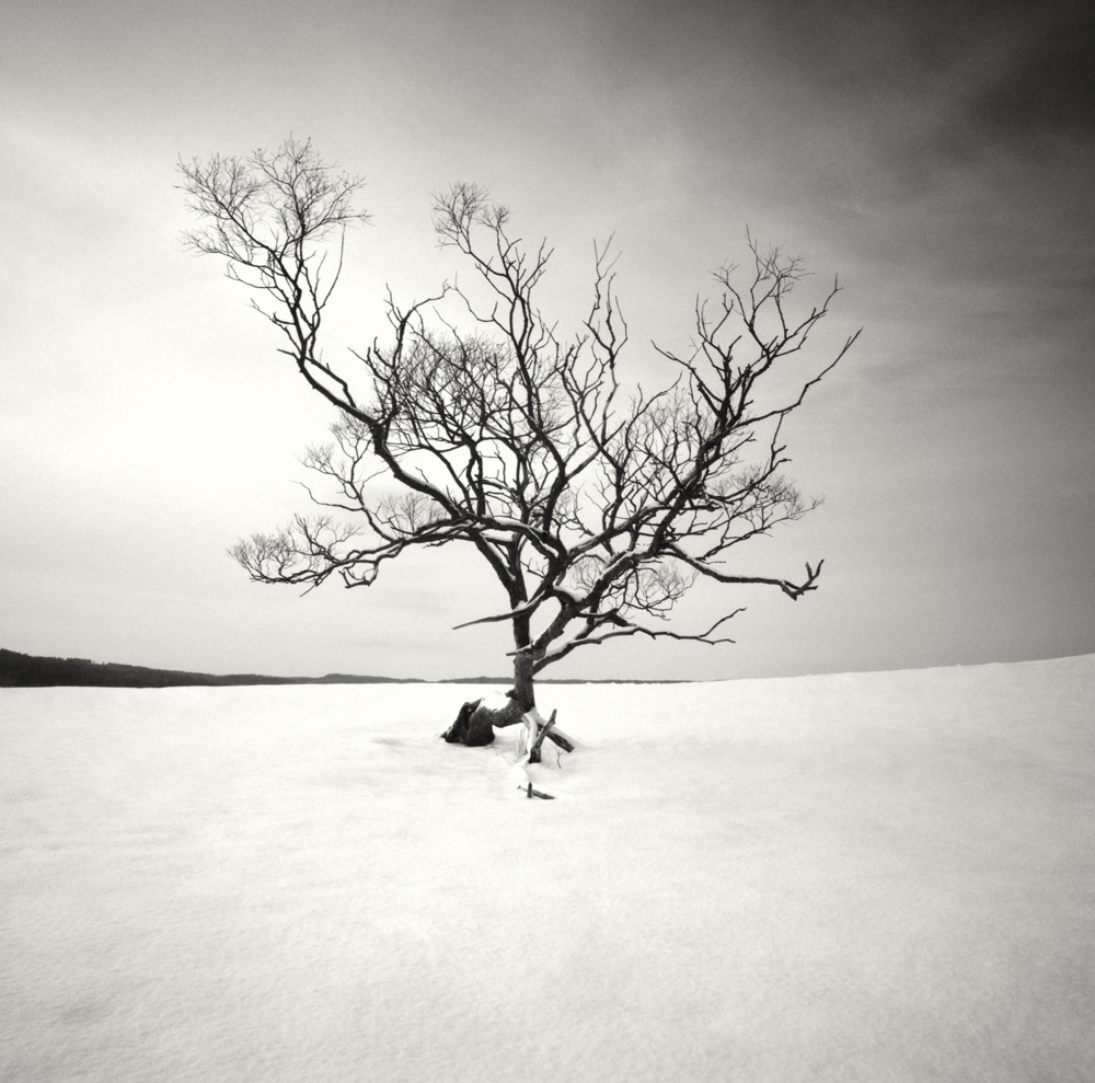 HakandStrand 12 fotografia invierno paisaje belleza PoesiaVisual estimulante StillMoments BlancoYNegro