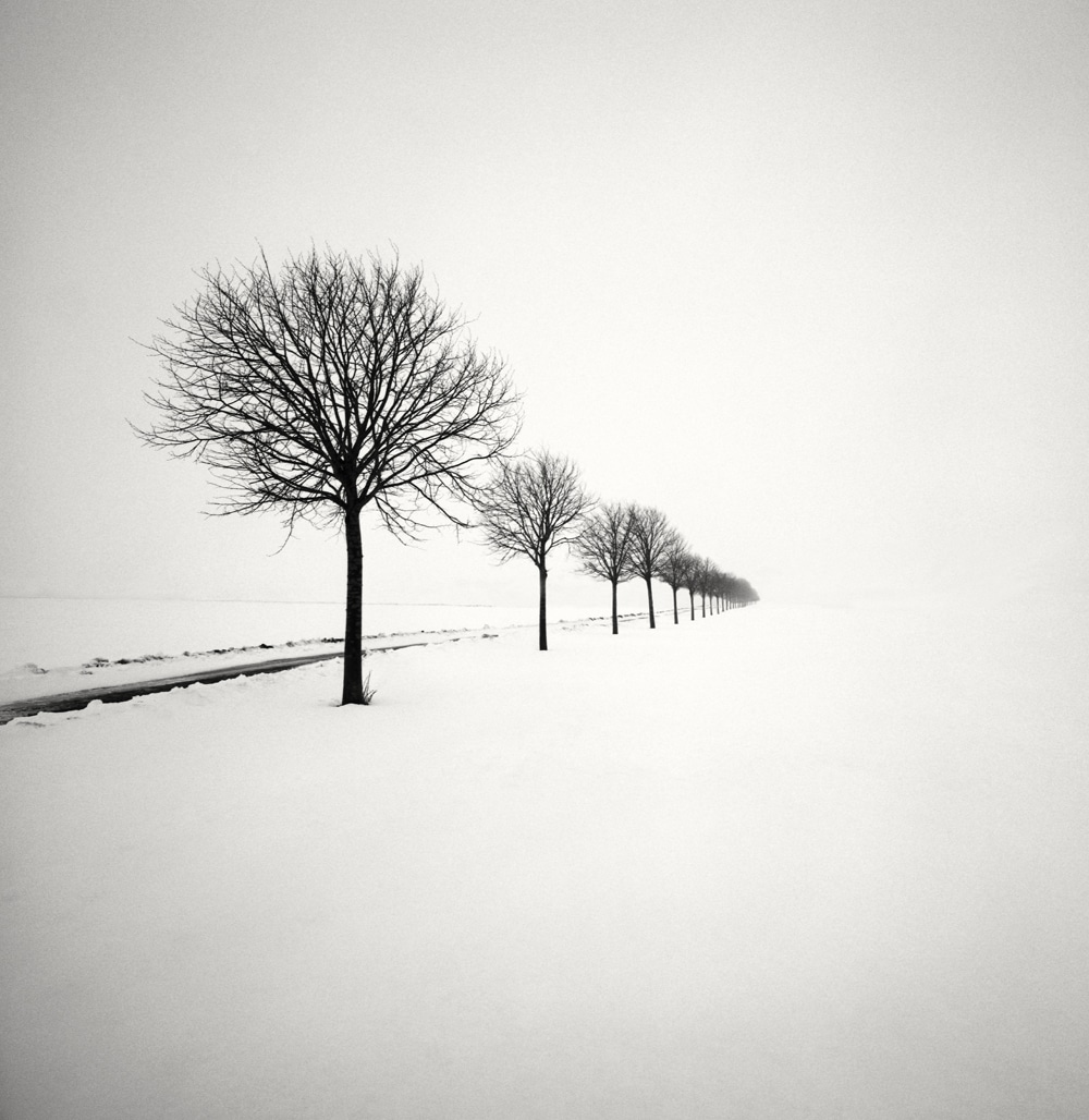 HakandStrand 13 fotografia invierno paisaje belleza PoesiaVisual estimulante StillMoments BlancoYNegro