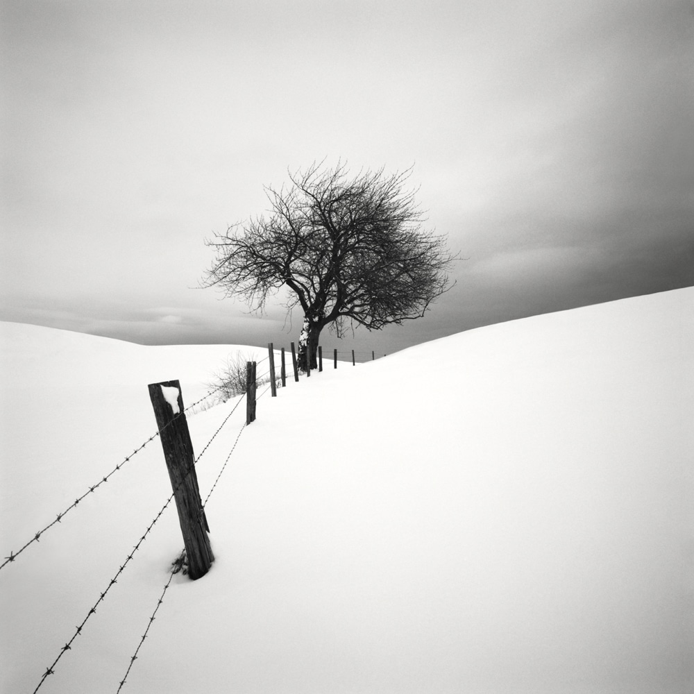 HakandStrand 14 fotografia invierno paisaje belleza PoesiaVisual estimulante StillMoments BlancoYNegro