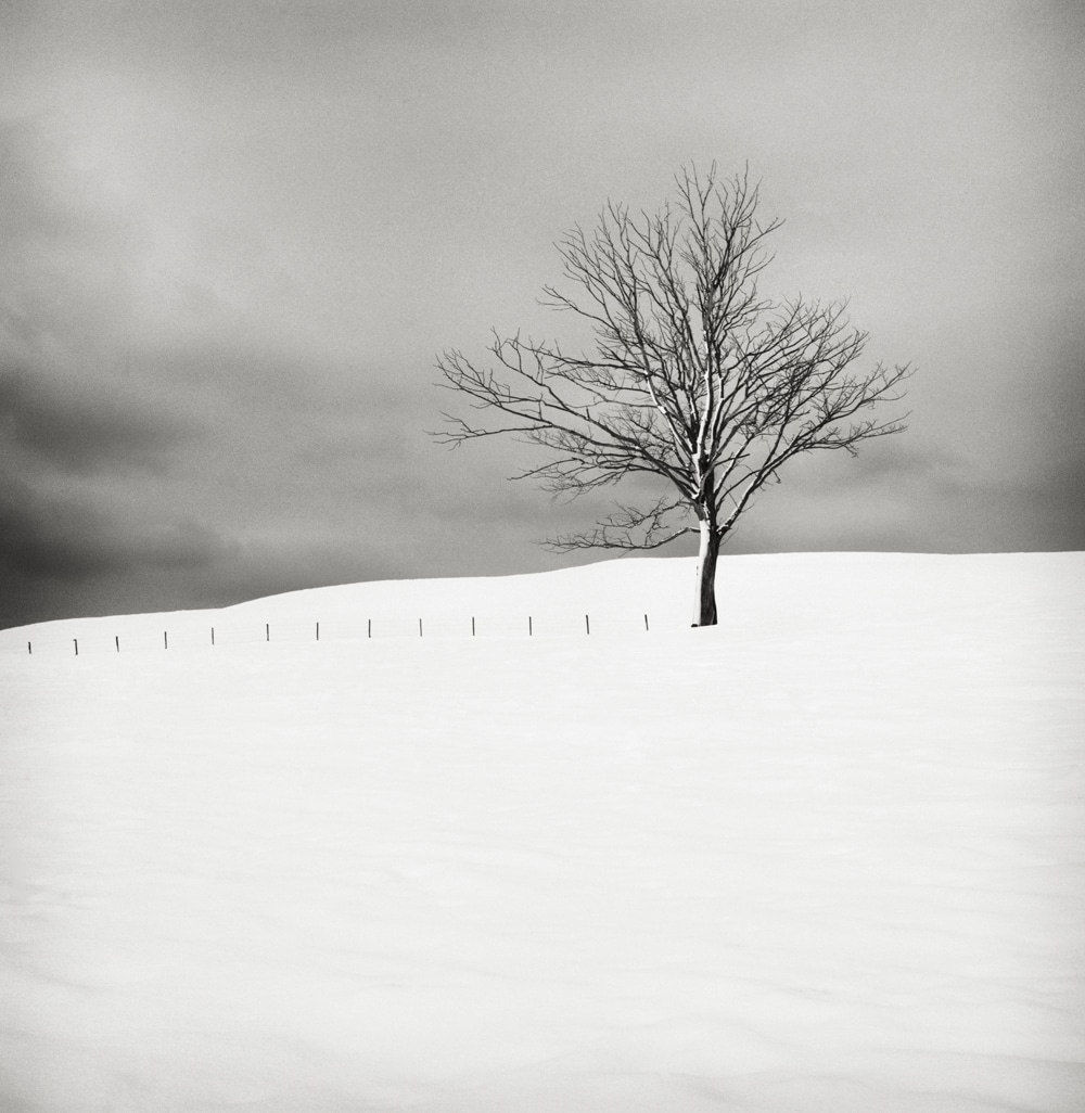 HakandStrand 15 fotografia invierno paisaje belleza PoesiaVisual estimulante StillMoments BlancoYNegro