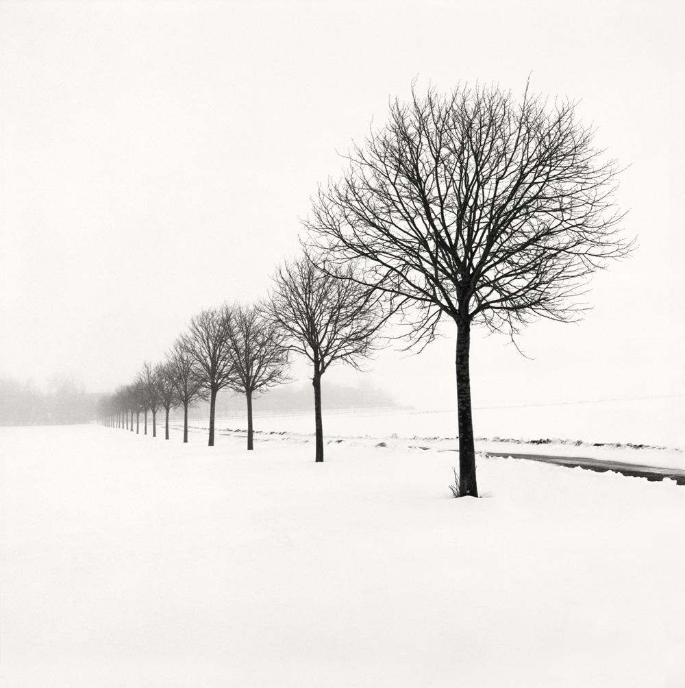 HakandStrand 16 fotografia invierno paisaje belleza PoesiaVisual estimulante StillMoments BlancoYNegro