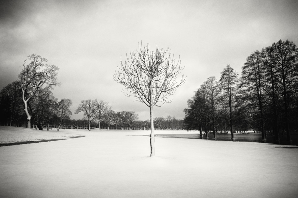 HakandStrand 17 fotografia invierno paisaje belleza PoesiaVisual estimulante StillMoments BlancoYNegro