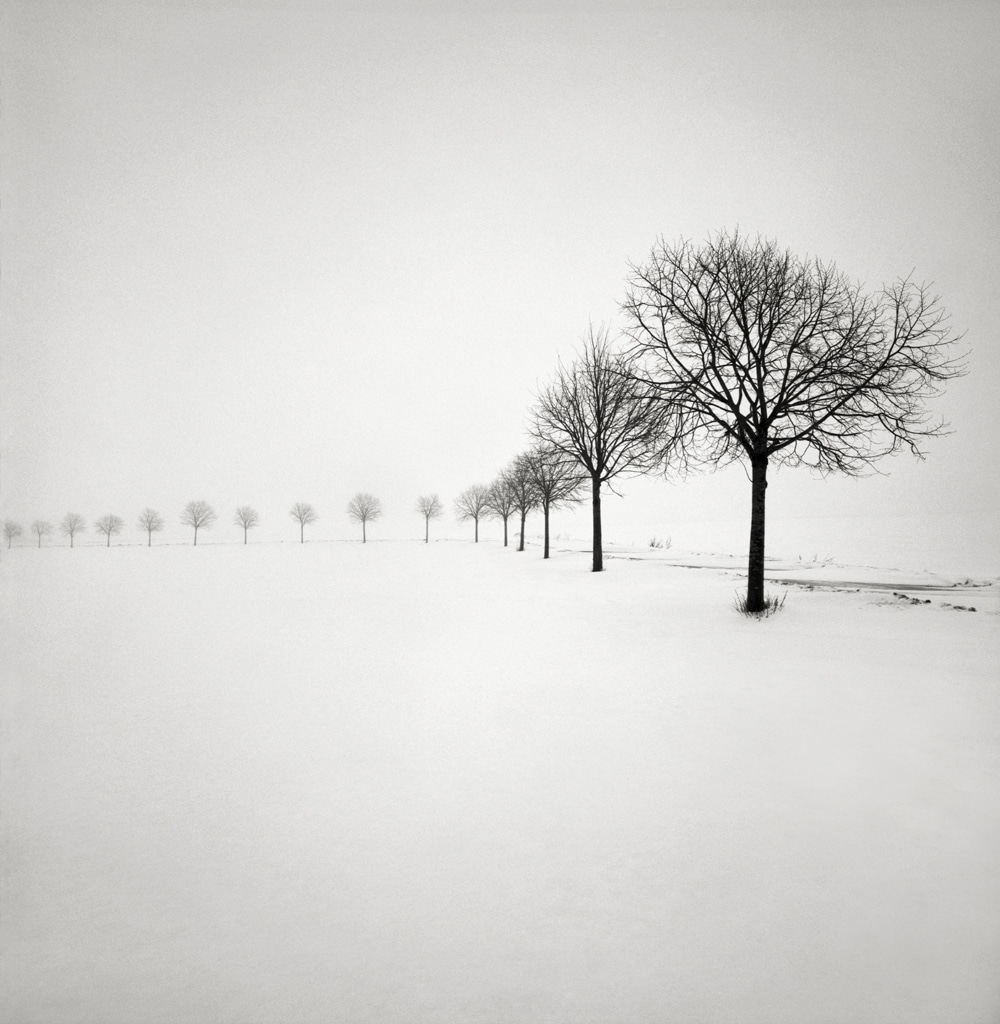 HakandStrand 1 fotografia invierno paisaje belleza PoesiaVisual estimulante StillMoments BlancoYNegro