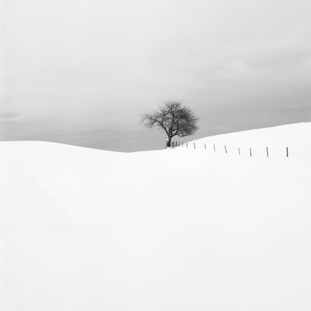 HakandStrand 2 fotografia invierno paisaje belleza PoesiaVisual estimulante StillMoments BlancoYNegro