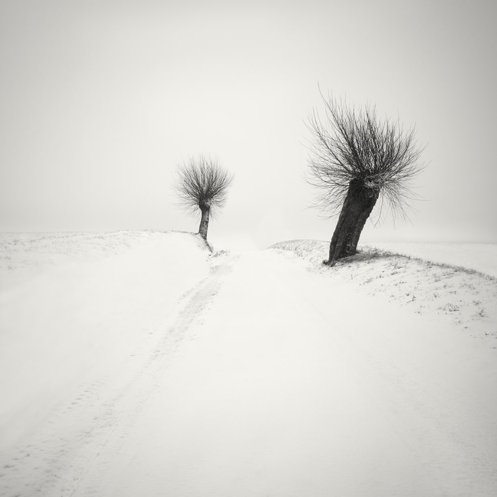HakandStrand 4 fotografia invierno paisaje belleza PoesiaVisual estimulante StillMoments BlancoYNegro