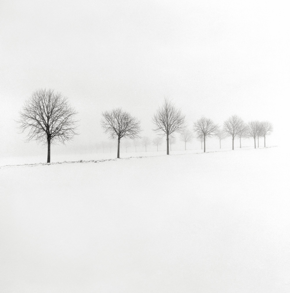 HakandStrand 5 fotografia invierno paisaje belleza PoesiaVisual estimulante StillMoments BlancoYNegro