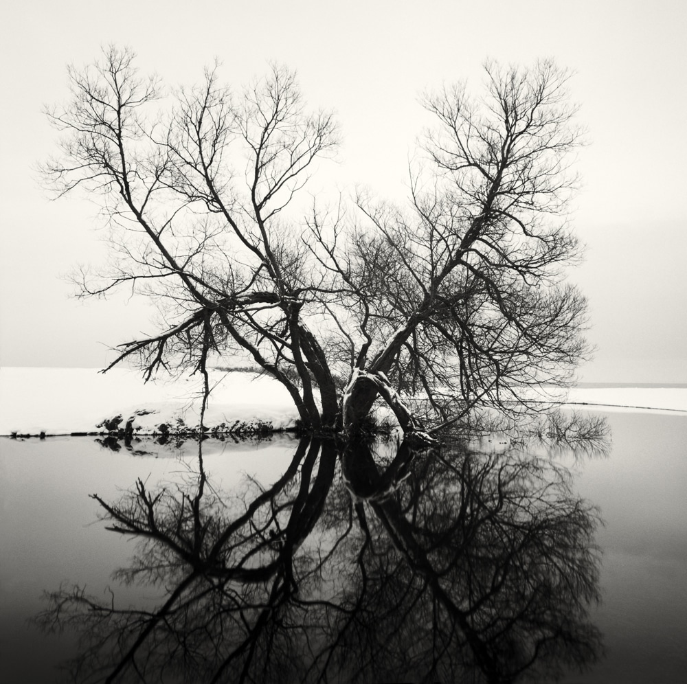 HakandStrand 6 fotografia invierno paisaje belleza PoesiaVisual estimulante StillMoments BlancoYNegro