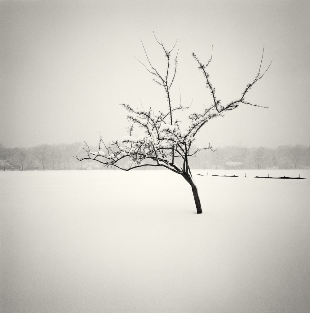HakandStrand 7 fotografia invierno paisaje belleza PoesiaVisual estimulante StillMoments BlancoYNegro