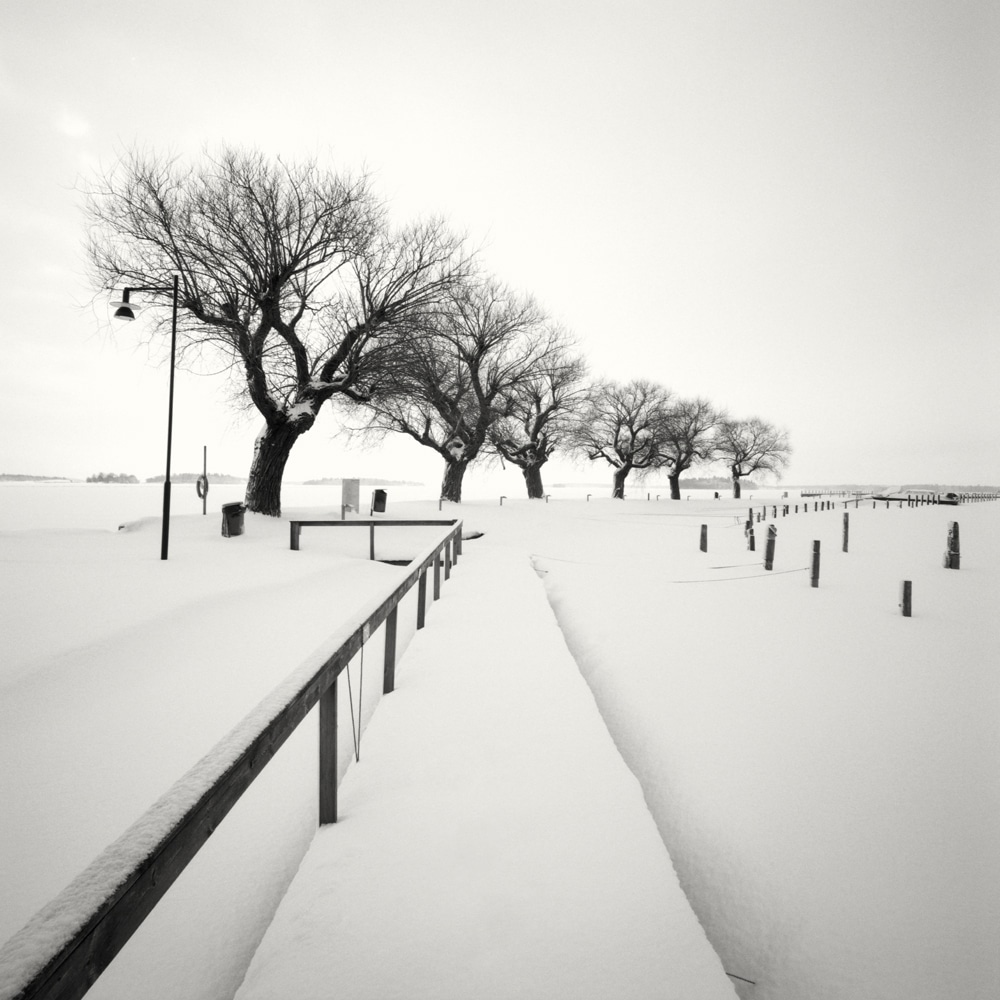 HakandStrand 8 fotografia invierno paisaje belleza PoesiaVisual estimulante StillMoments BlancoYNegro