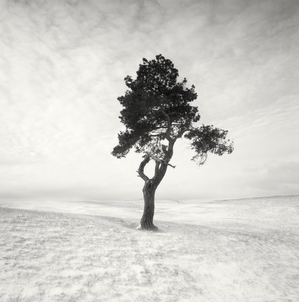 HakandStrand 9 fotografia invierno paisaje belleza PoesiaVisual estimulante StillMoments BlancoYNegro