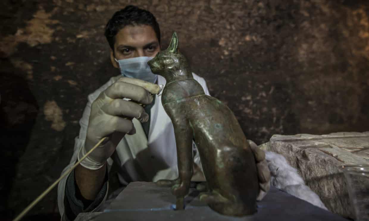 Momias Gatos 01
