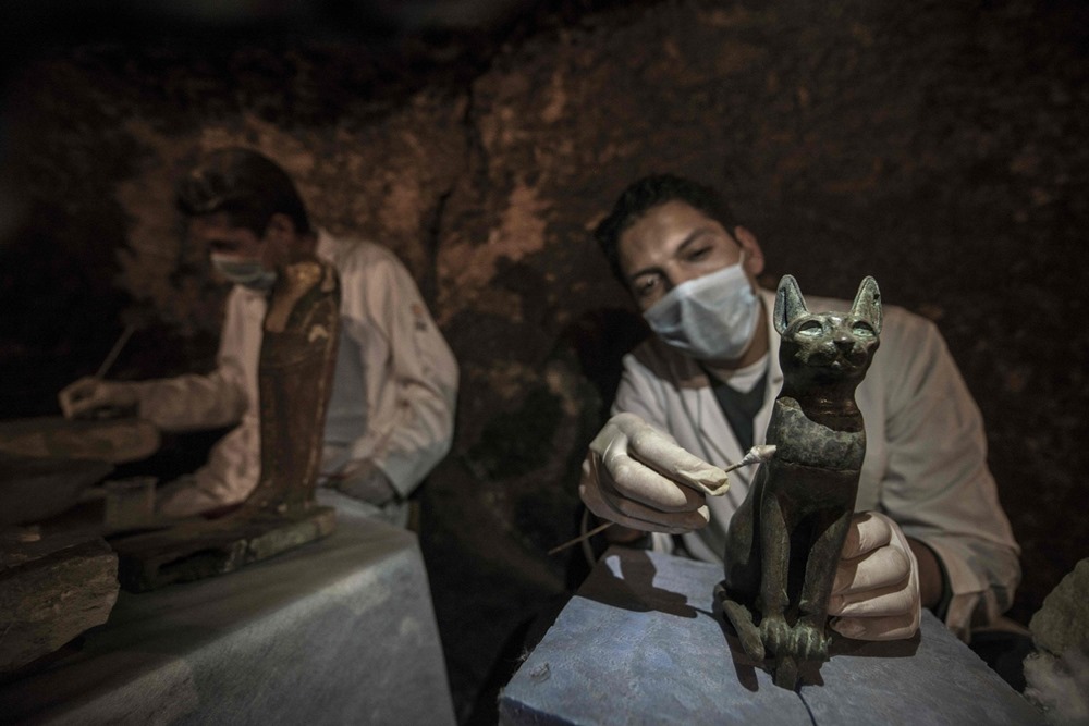 Momias de gatos