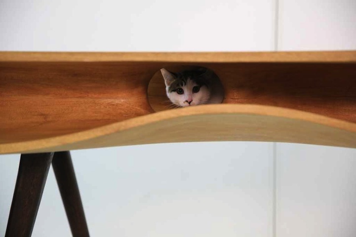 Ruan Hao cat table design 3
