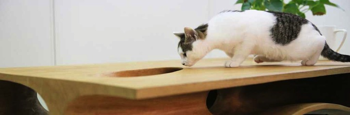 Ruan Hao cat table design 5