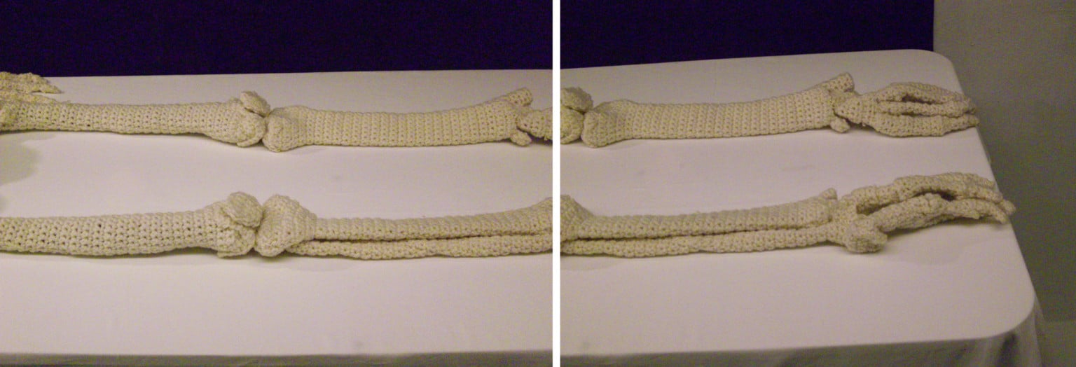 ShanellPapp 4 esqueleto anatomia artesania ganchillo escultura curiosidad