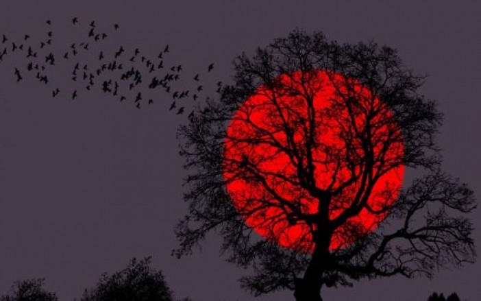 SuperLunaDeSangre 2 enero 2019 naturaleza astronomía eclipse belleza