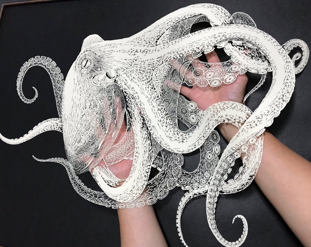octopus 3 640x5082x 1