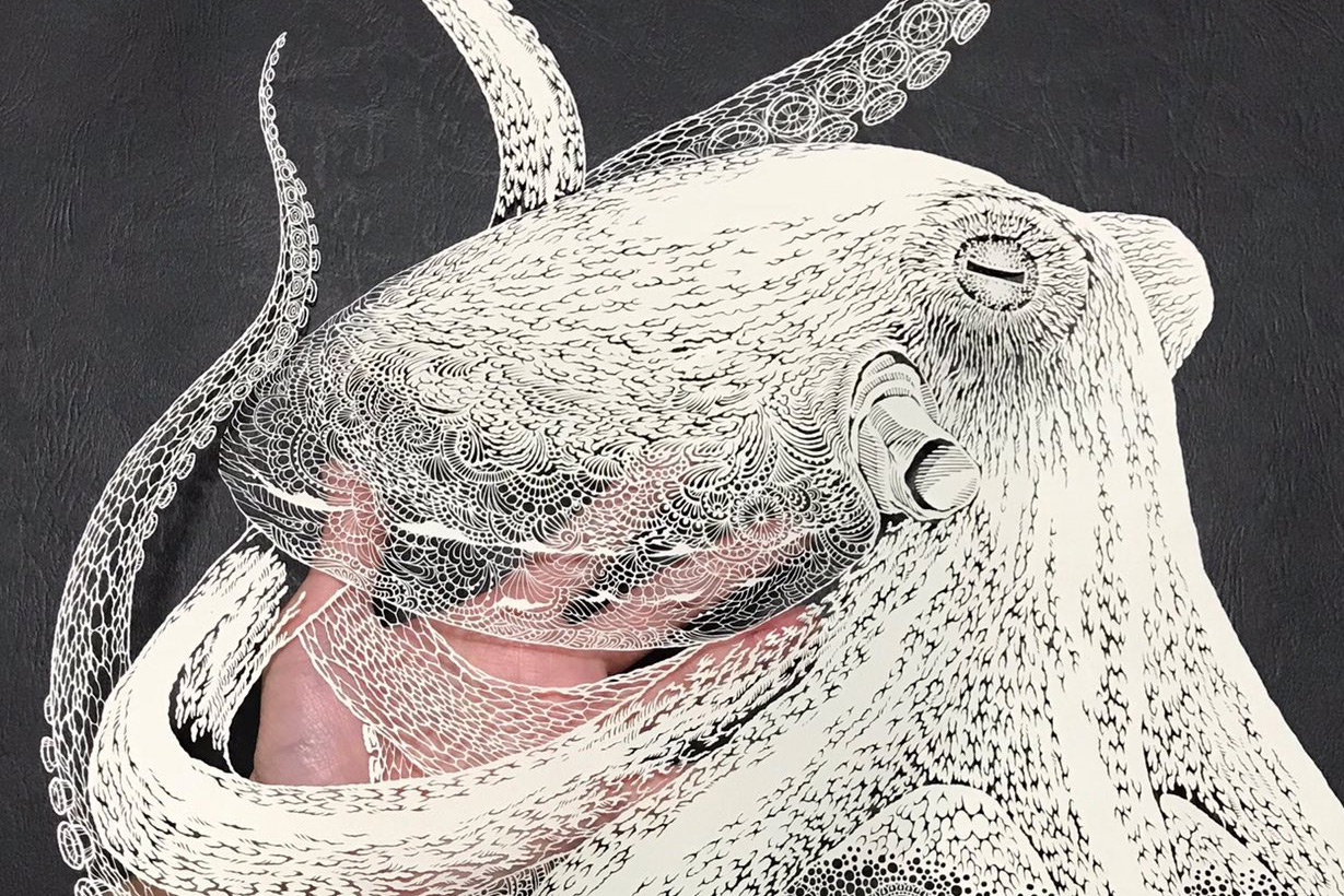 octopus 4