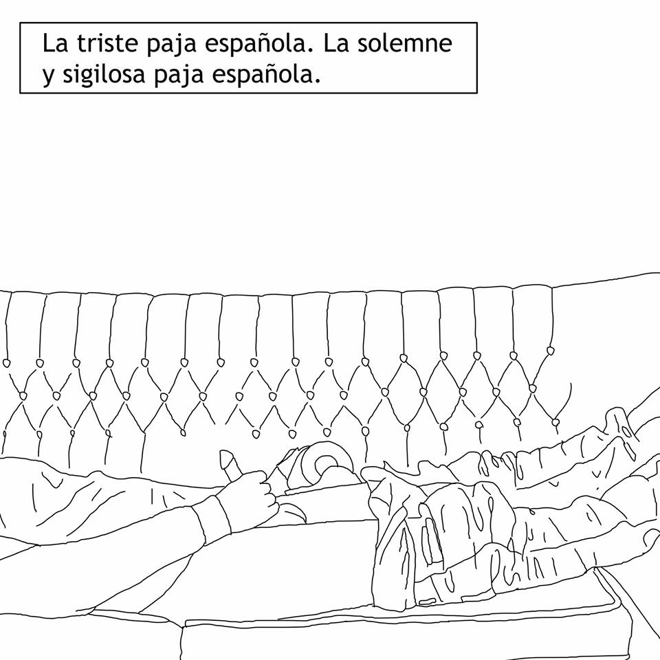 paja1