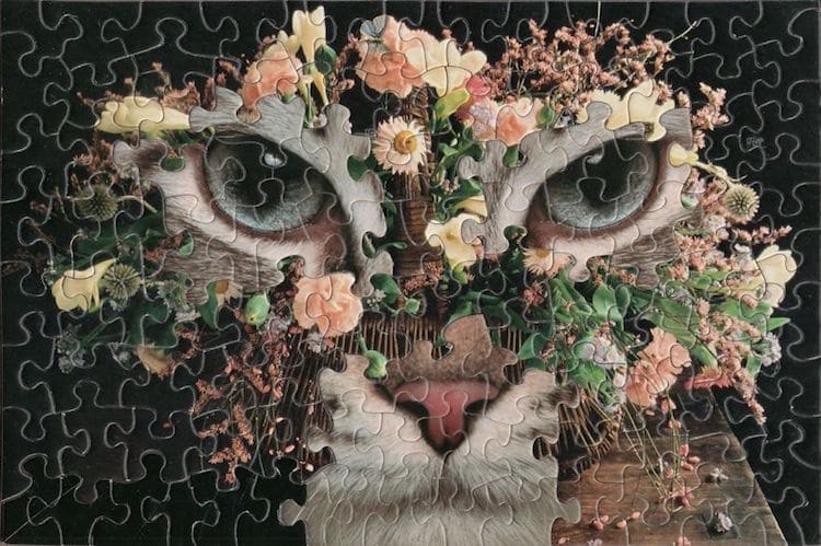 puzzles mezclados 01