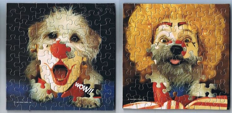 puzzles mezclados 06