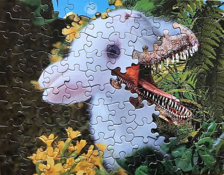 puzzles mezclados 09