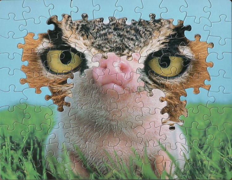 puzzles mezclados 10