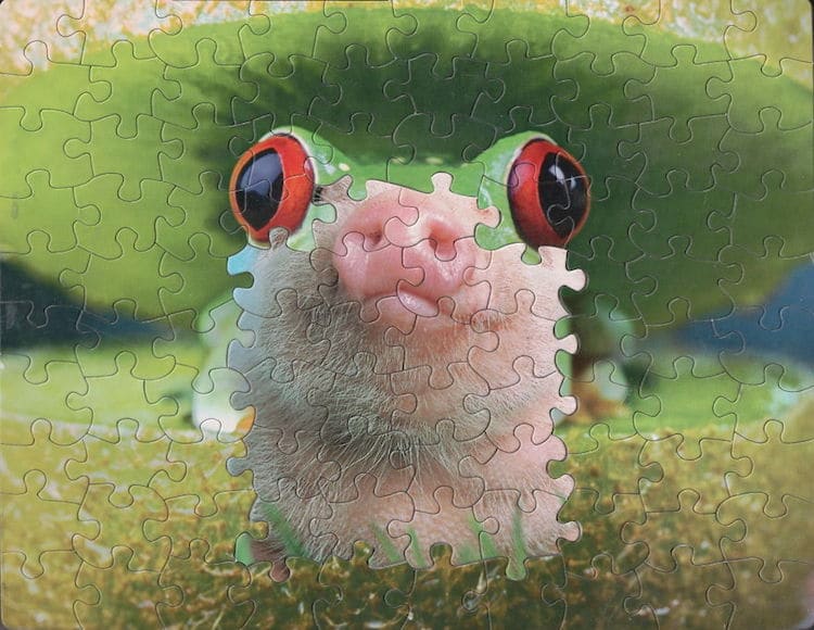 puzzles mezclados 11