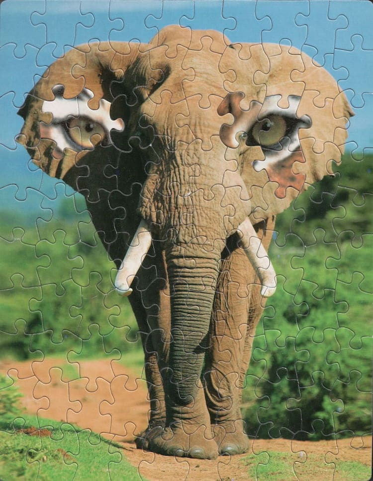puzzles mezclados 19