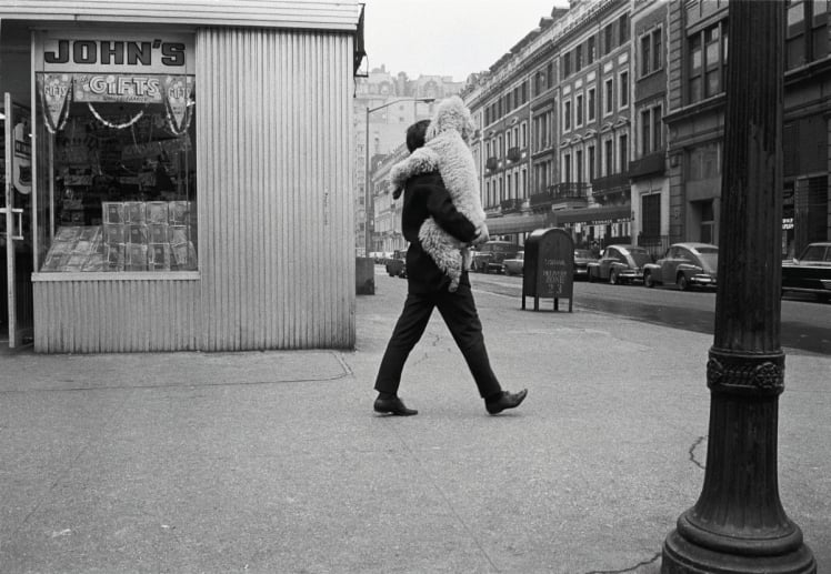 Joel Meyerowitz3