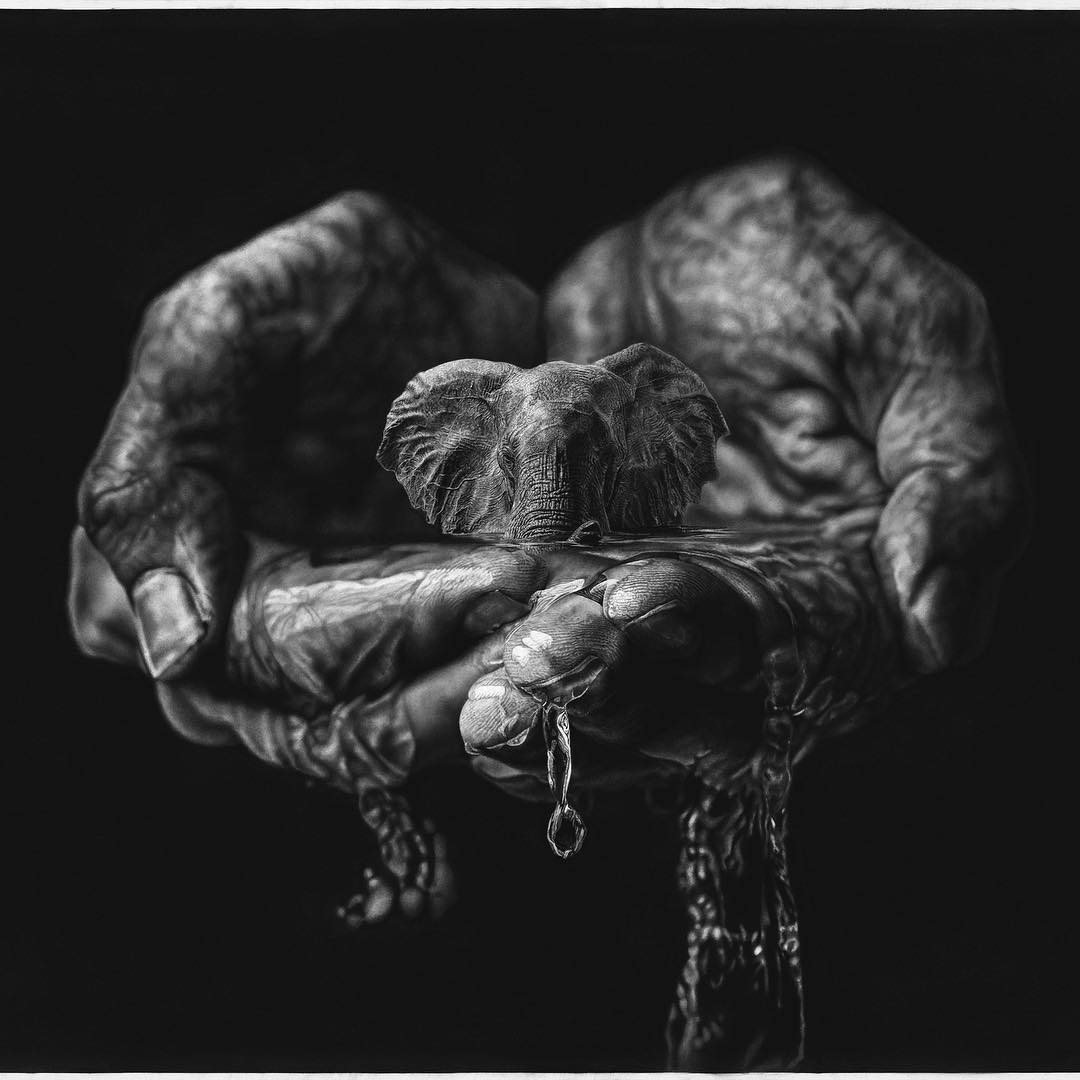 Dibujo a lápiz surrealista de manos cogiendo un elefante