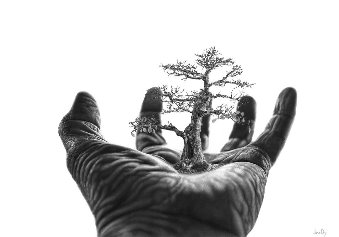 Dibujo a lápiz Jono Dry de una mano con un árbol