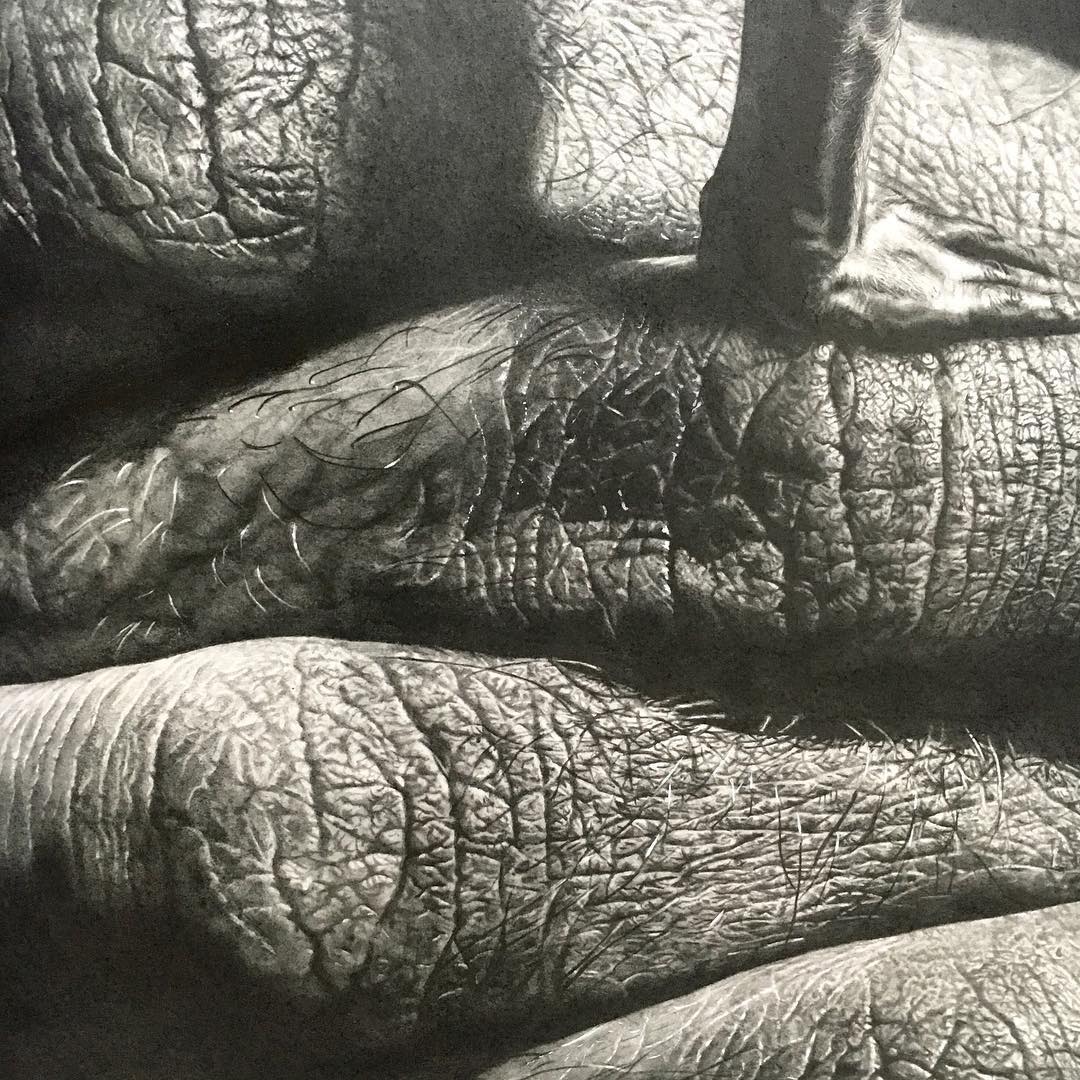 Detalle piel dibujo de Jono Dry a lápiz